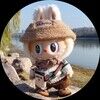 ninobidding